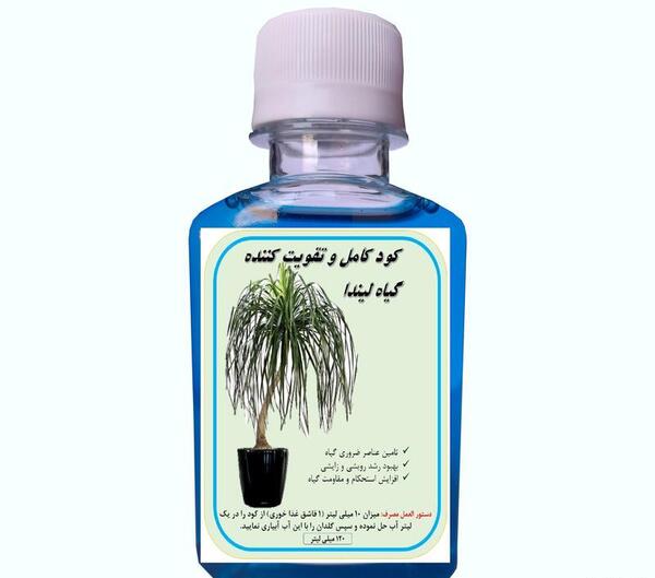دانلود عکس گل لیندا