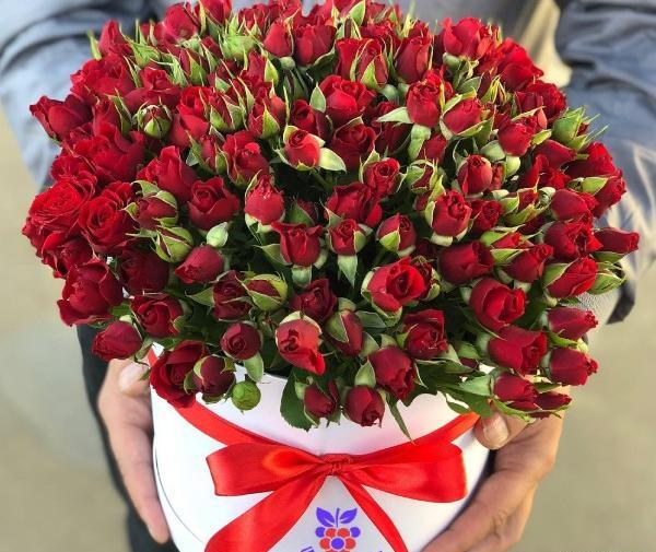 دانلود عکس گل لیندا