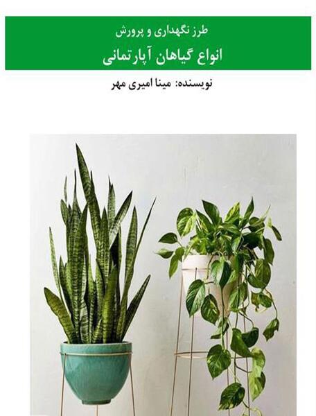 دانلود عکس گل لیندا