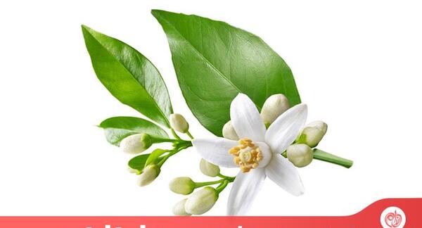 عکس دمنوش بهار نارنج