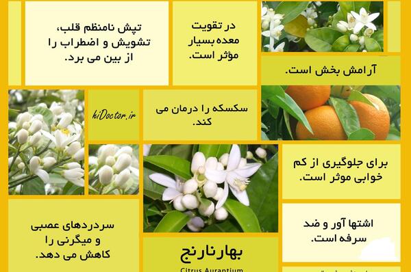 عکس دمنوش بهار نارنج