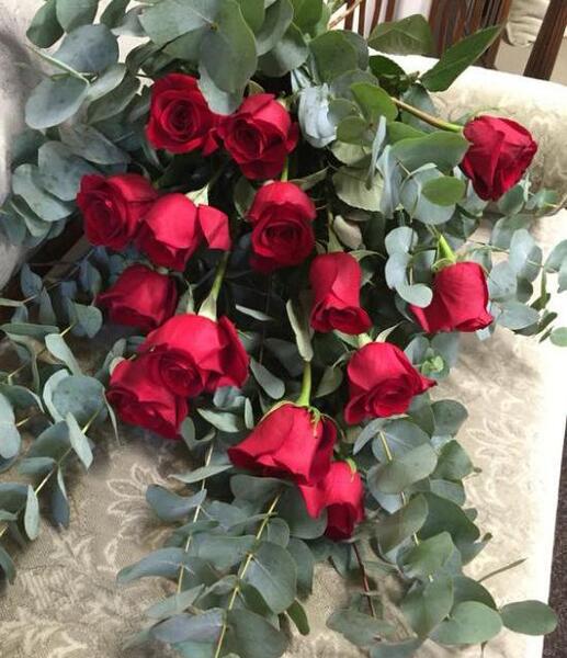 عکس گل قرمز و سفید