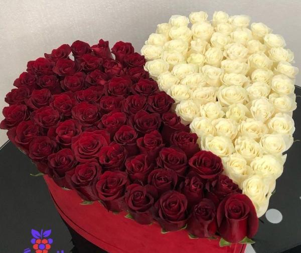 عکس گل قرمز و سفید
