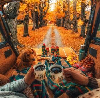 عکس پروفایل منظره عاشقانه