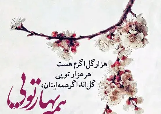 عکس و متن بهاری