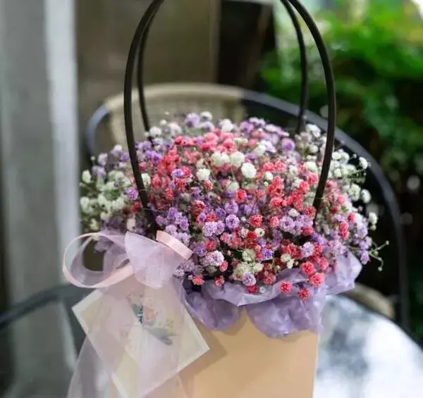 عکس گل ژیپسوفیلا صورتی