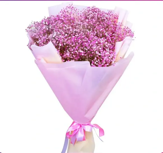 عکس گل ژیپسوفیلا صورتی