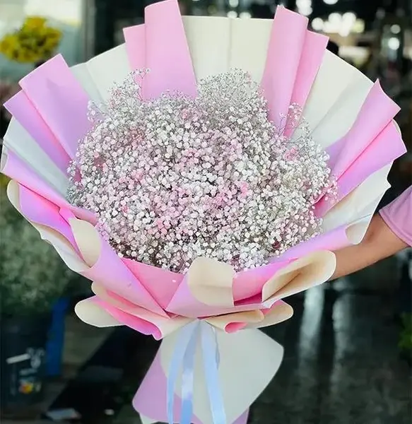 عکس گل ژیپسوفیلا صورتی