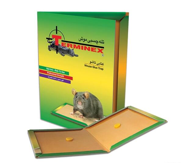 عکس بچه موش واقعی