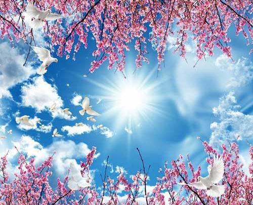 عکس زیبای آسمان