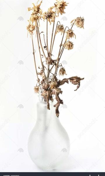 عکس گل پژمرده فانتزی