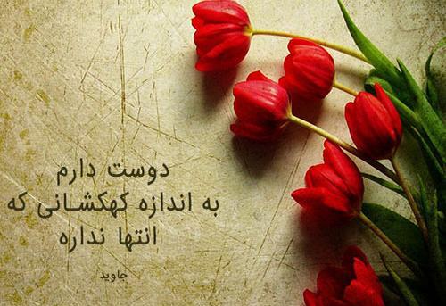 عکس گل های قشنگ عاشقانه