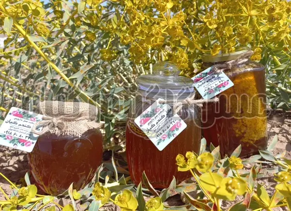 عکس عسل طبیعی کوهی
