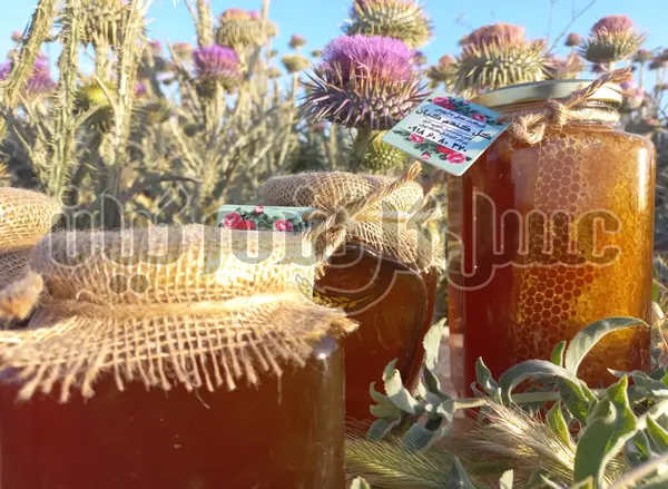 عکس عسل طبیعی کوهی