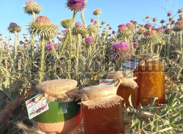 عکس عسل طبیعی کوهی
