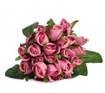 عکس غنچه گل رز قرمز