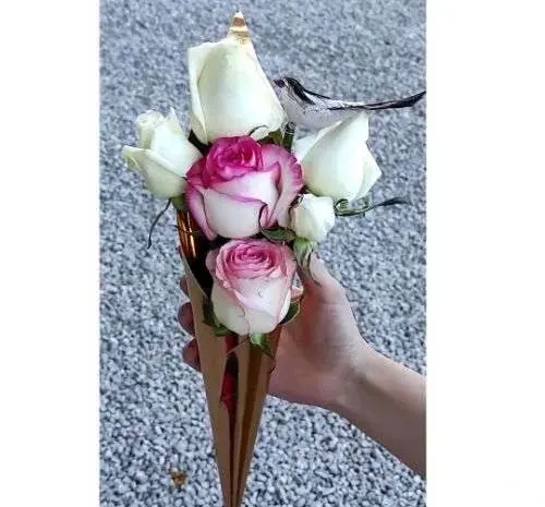عکس غنچه گل رز قرمز