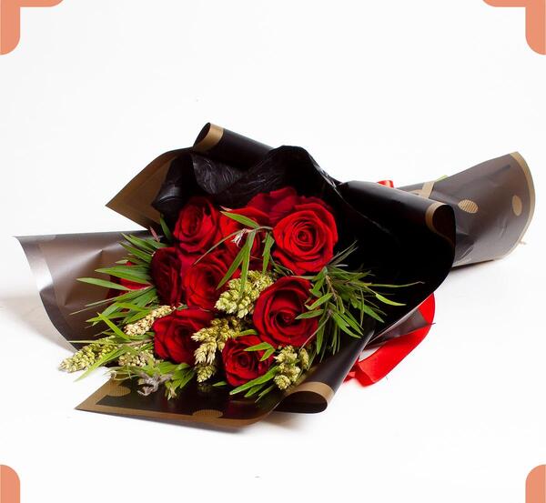 عکس غنچه گل رز قرمز