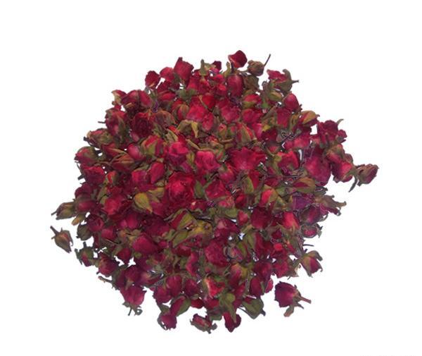 عکس غنچه گل رز قرمز