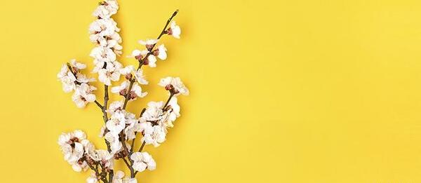 عکس بهاری برای پس زمینه