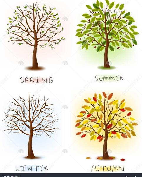 عکس درخت بهاری کارتونی