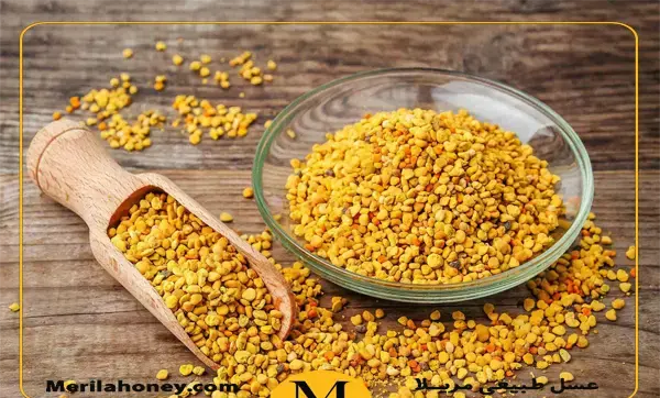 عکس از گرده گل