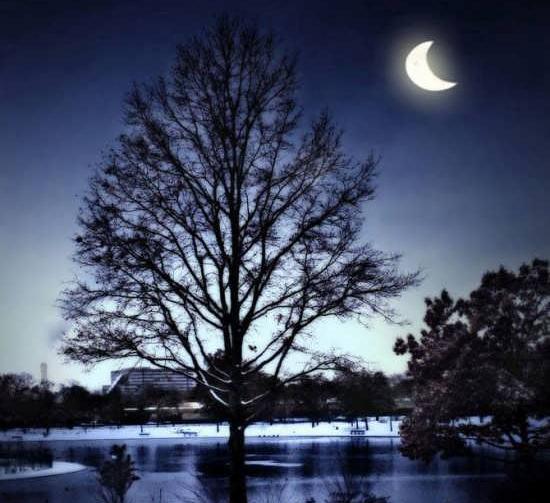 عکس های طبیعت در شب