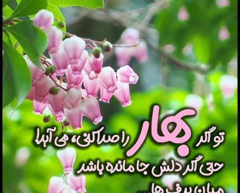 عکس آمدن بهار