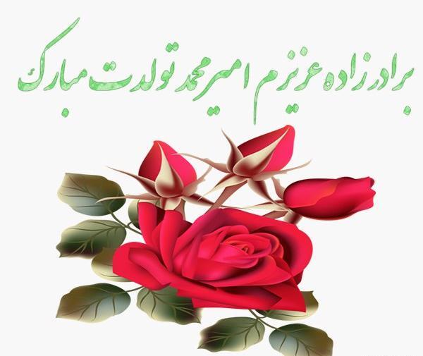 عکس تولدت مبارک امیر محمد