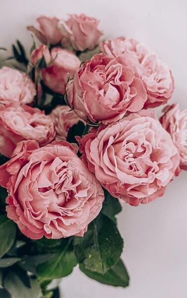 عکس برای پروفایل ایتا دخترانه
