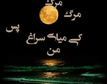 عکس پروفایل برای مرگ عزیزان