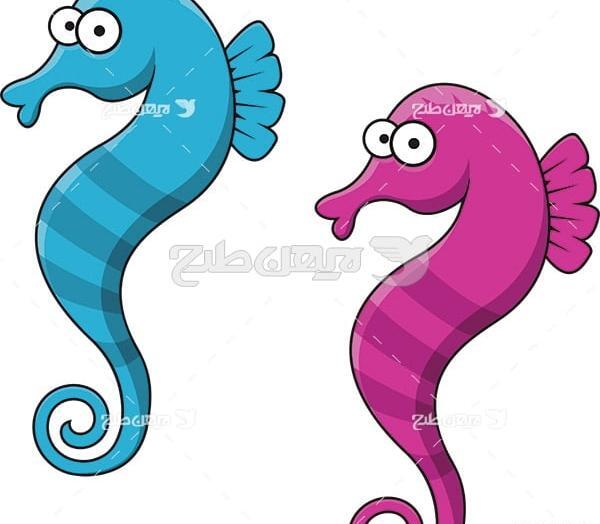 عکس حیوان اسب آبی