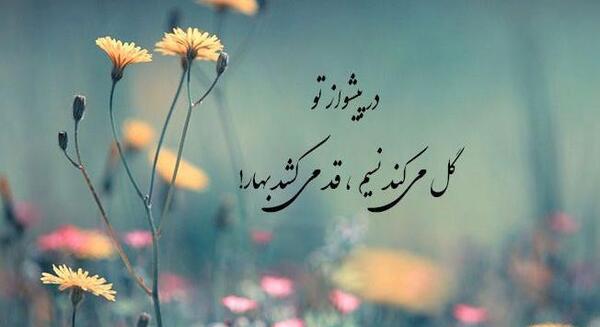 عکس از آمدن بهار