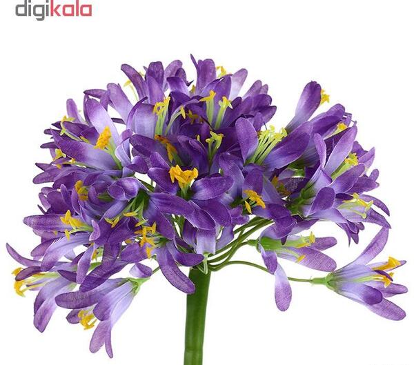 عکس گل سوسن پلنگی