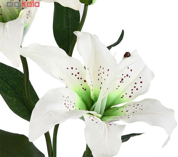 عکس گل سوسن پلنگی