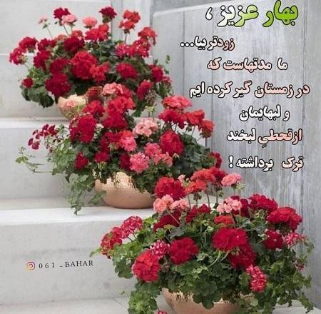 عکس بهار اینستاگرام