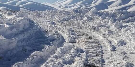 عکس آدم برفی واقعی در حیاط خانه