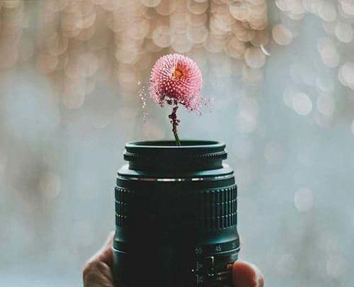 هنری عکس پروفایل گرافیکی دخترانه