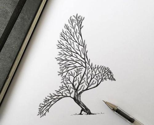 عکس چهره سیاه قلم ساده