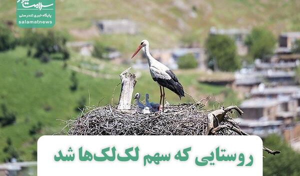 عکس لک لکی که بچه میاره