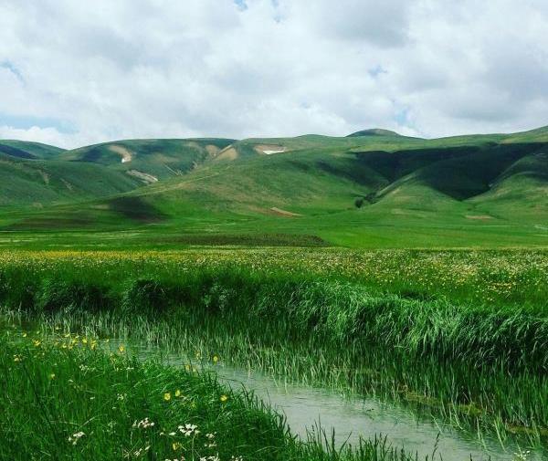 عکس بهار در ایران