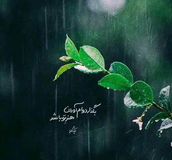 عکس مذهبی برای پروفایل بدون متن