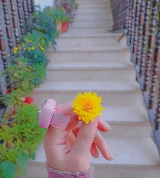 عکس پروفایل جدید دخترونه ۱۴۰۳