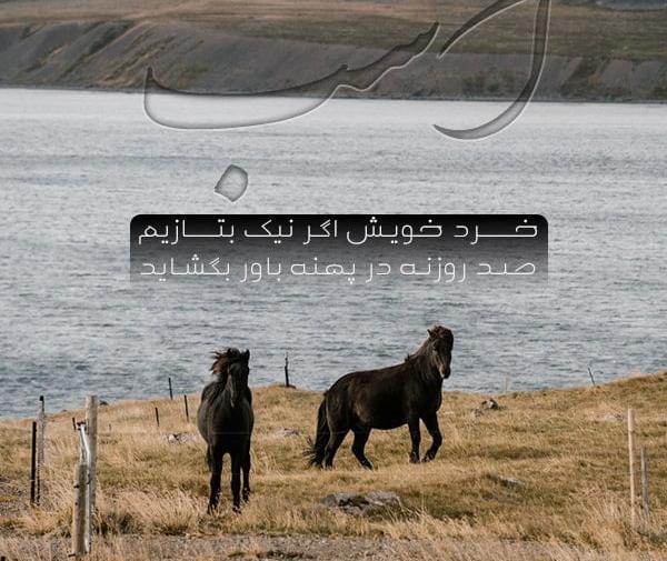 عکس اسب سواری عاشقانه