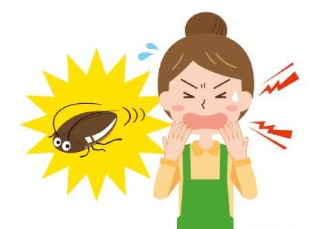عکس بچه سوسک بالدار