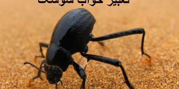 عکس بچه سوسک بالدار