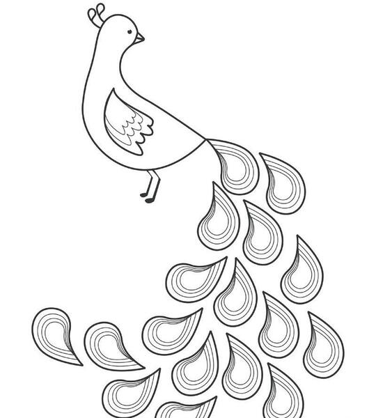 عکس نقاشی طاووس بچه گانه