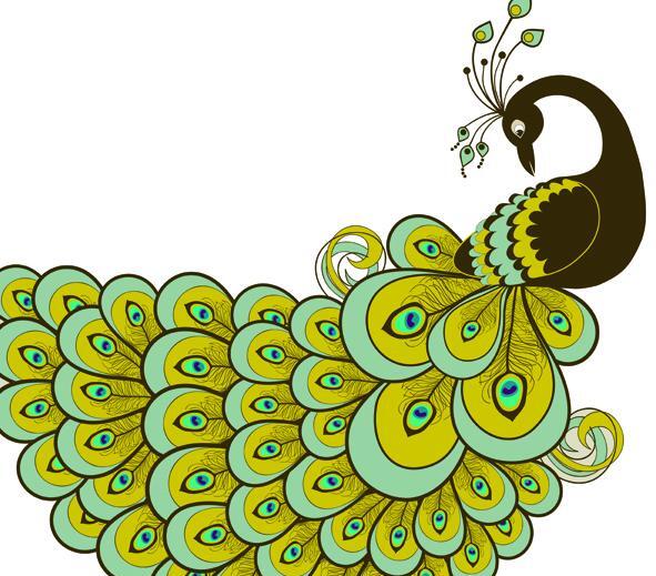 عکس نقاشی طاووس بچه گانه