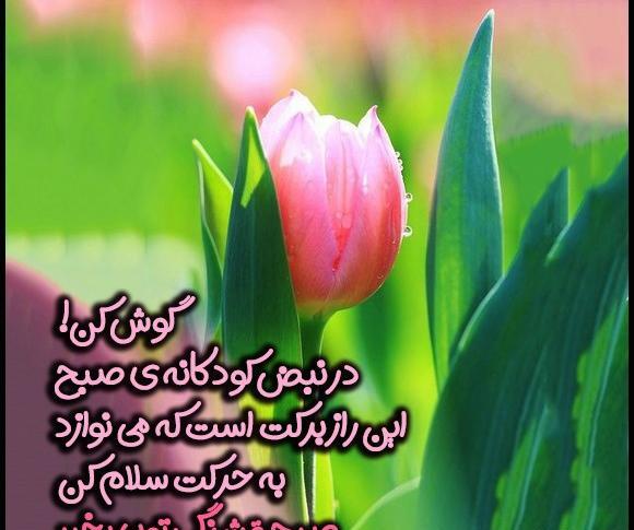 عکس پروفایل صبح بخیر بهاری