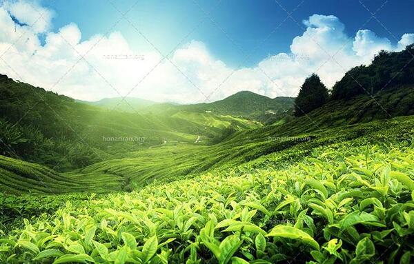 دانلود عکس زیبای آسمان